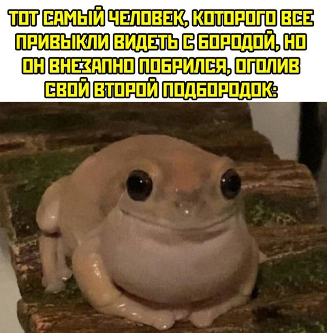 Весёлый полтишок 11.01.23