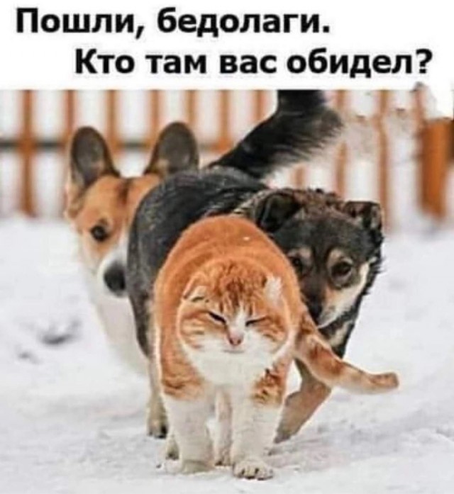 Уважаемые жильцы!