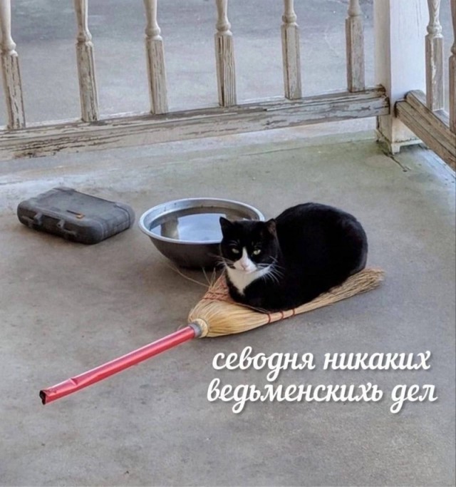 ТРРРидцать тРРРи от 3 апреля