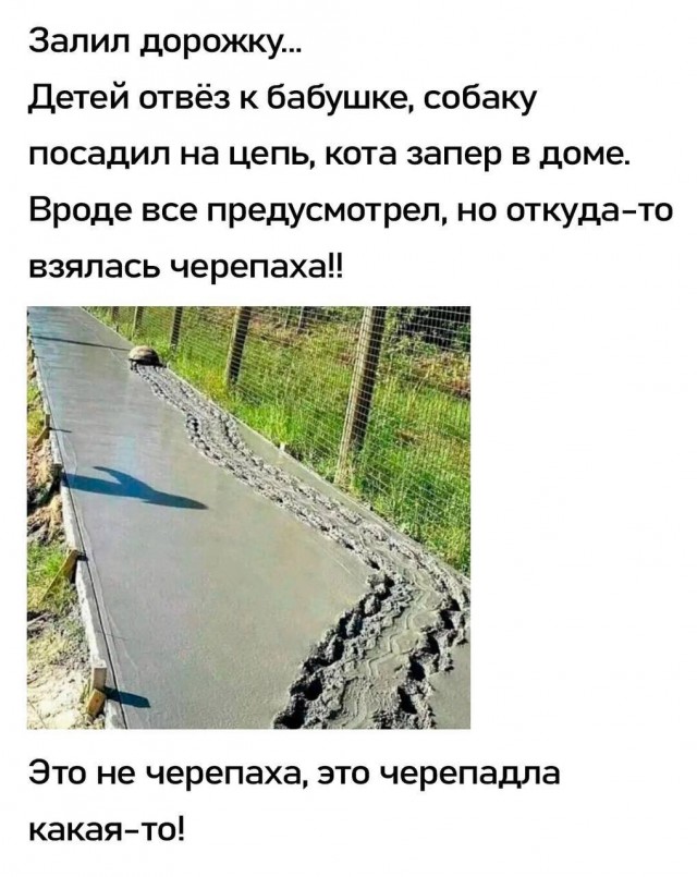 Завалялось тут случайно немного забавных картинок