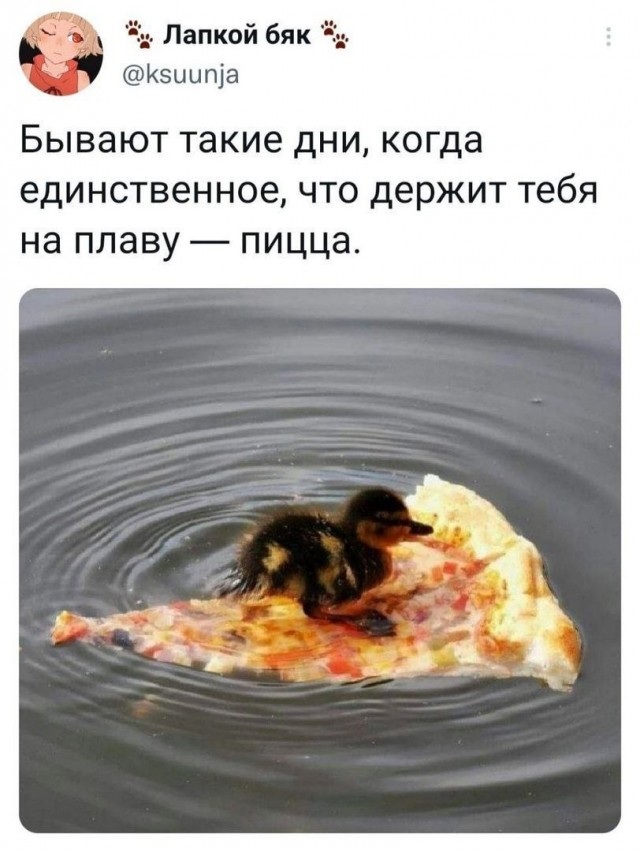 Так себе картинки 30.08.24