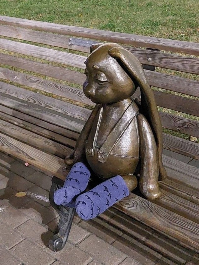 Носочки надели на зайку, которого бросила хозяйка