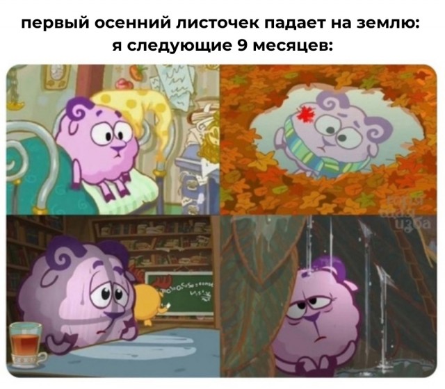 Весёлый полтишок 14.10.2024