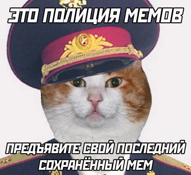 Давайте опубликуем