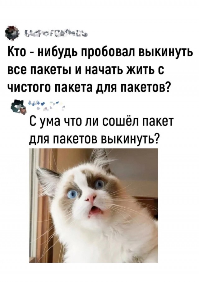 Весёлый полтишок 10.12.24