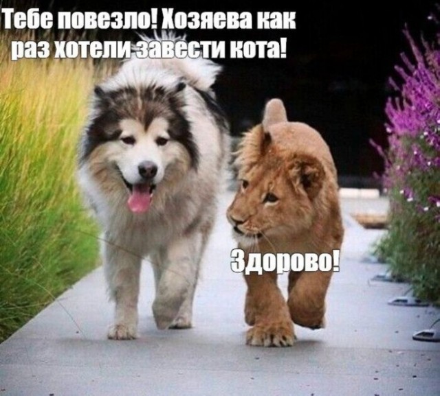 Сброс балласта. Картинки