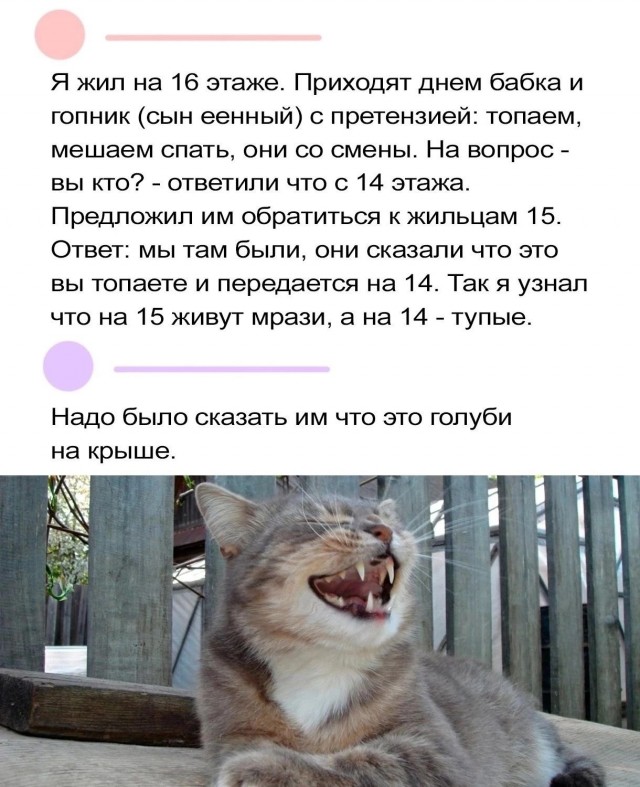 Картинки на 	субботний день