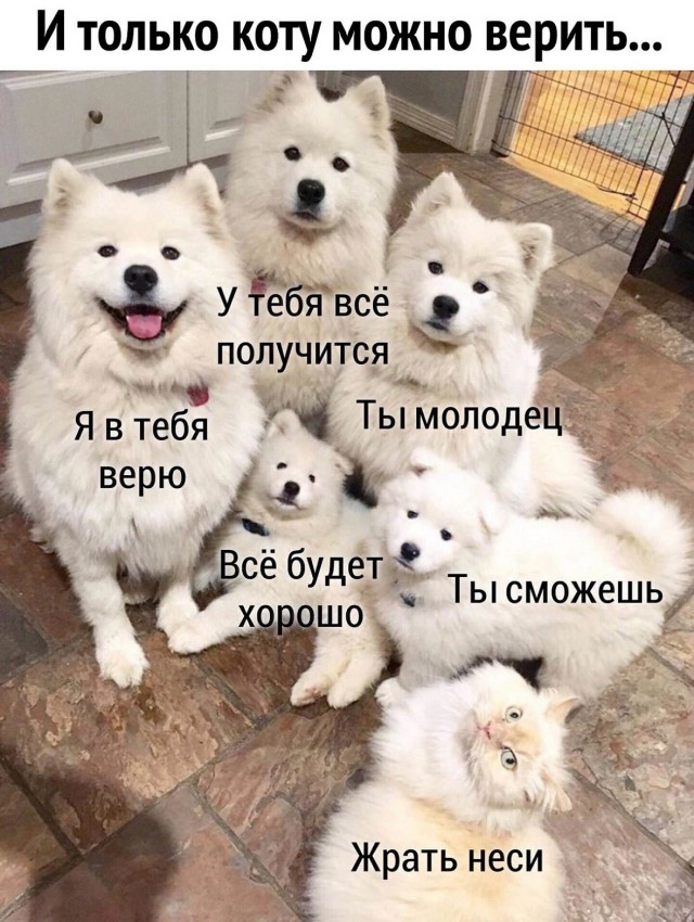 Так себе картинки 24.03.25