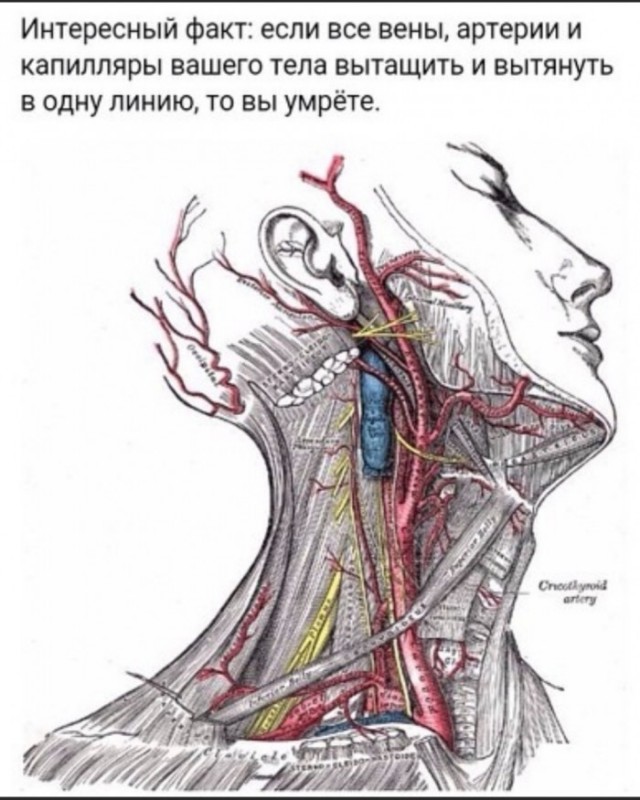 Так себе картинки 06.07.25