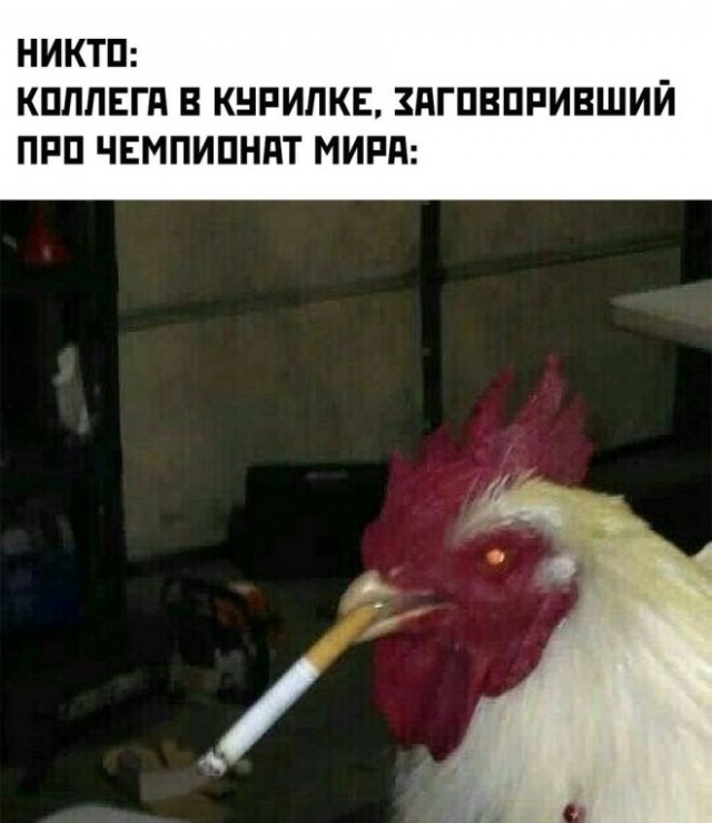 Веселые картинки в маленькую пятницу (06.08)