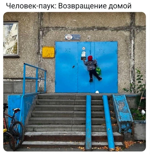Картинки для бодрости духа