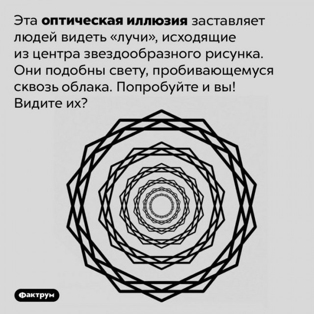 Куча мала 12