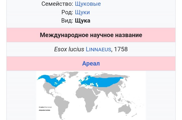 Вот оно, счастье.
