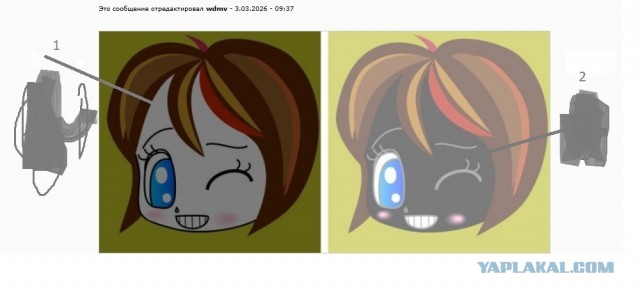 Забавная иллюзия с лицами