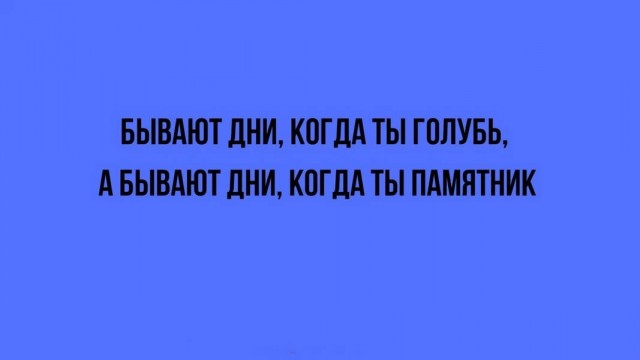 Веселые картинки в понедельник (06.04)
