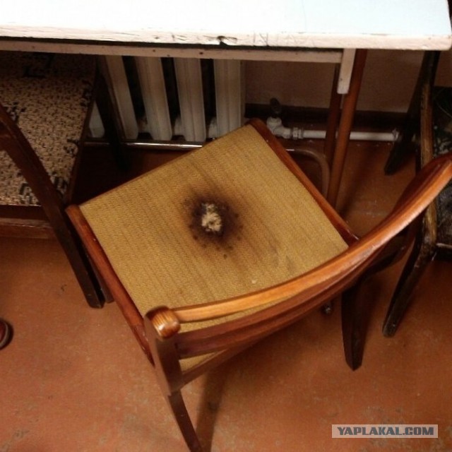 Илон Маск выпустил убийцу Telegram