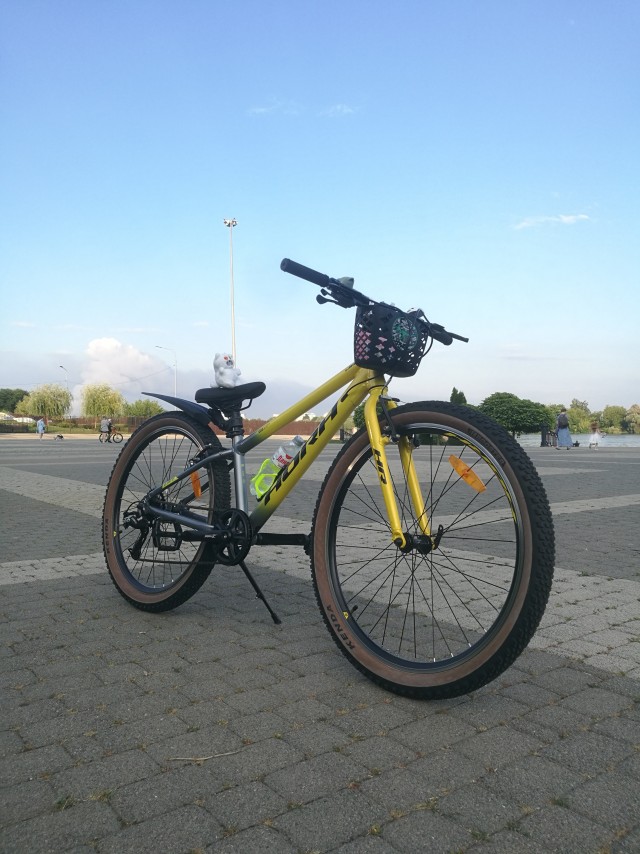 Купил железного коня в этом году