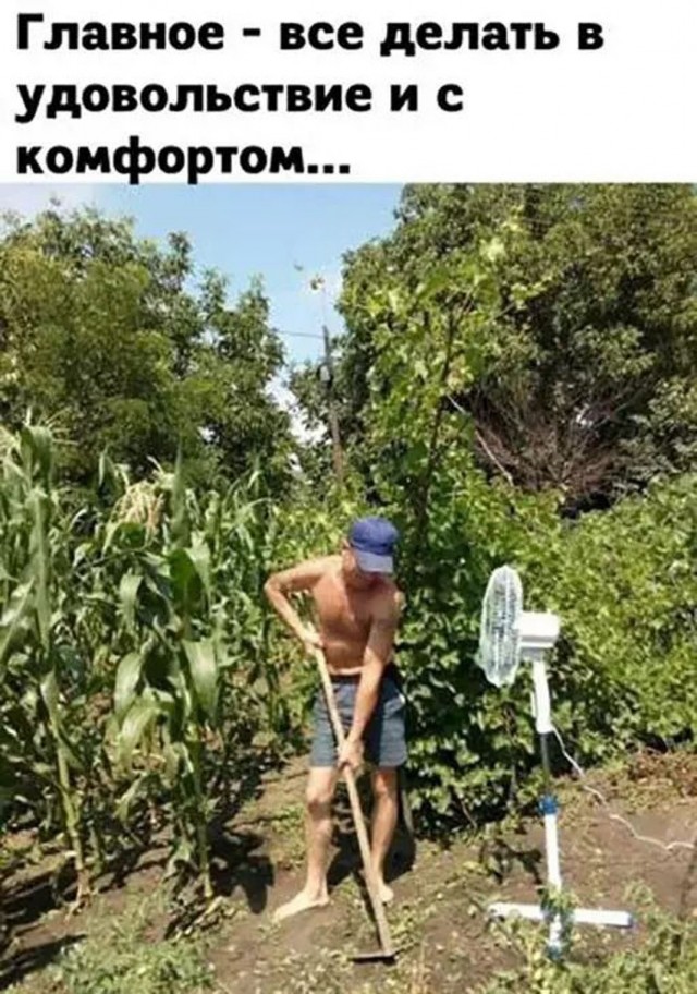 Прикольные и просто красивые картинки 21.08.2026