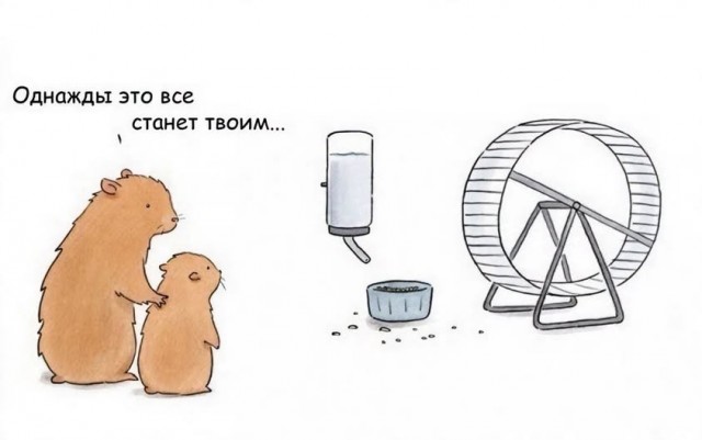 Прикалдэски