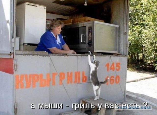 С Тяпницей!