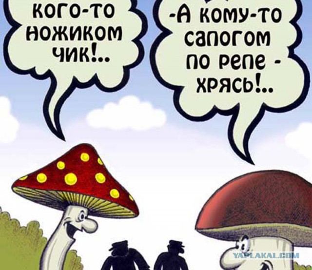 Черный юмор из социальных сетей