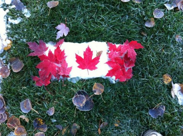 Картинки разные