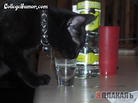 SMIRNOFF
