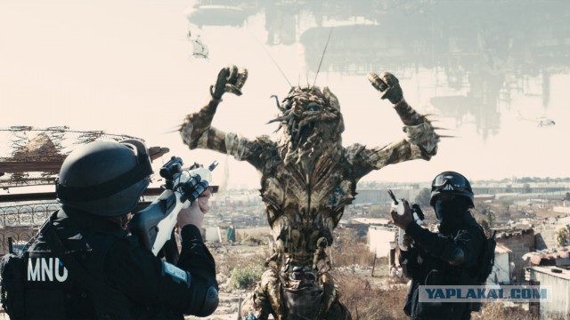 В Кале произошли столкновения между мигрантами и полицией