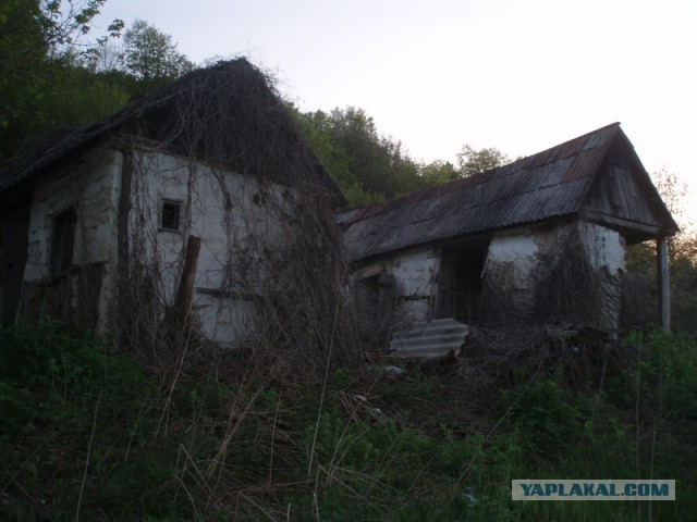 Зачем убивают Деревни?