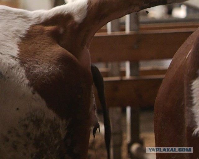 Что видят с рабочего места люди разных профессий