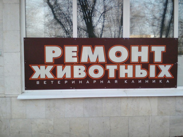 Подборка безудержного веселья