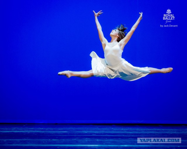 Минкульт обнародовал зарплаты руководителей музеев и театров