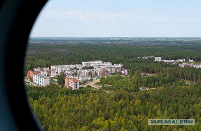Большое Васюганское болото - природный феномен, не имеющий аналогов в мире!