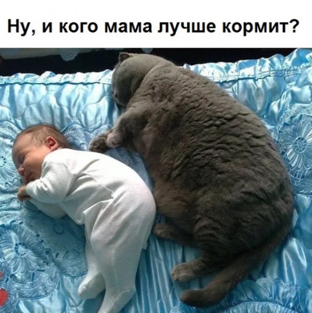 130 картинок для поднятия настроения!