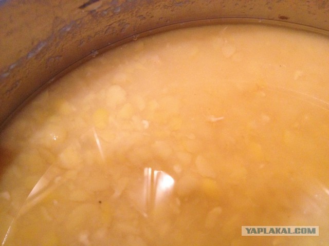 нищебродская кашка, музыкальная