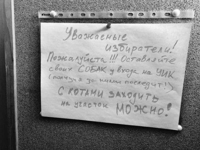 Нестандартный юмор