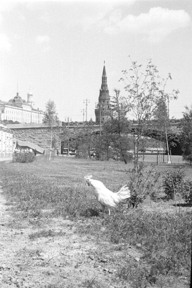 Вперёд, в прошлое: архивные кадры, которые откроют вам окно в историю