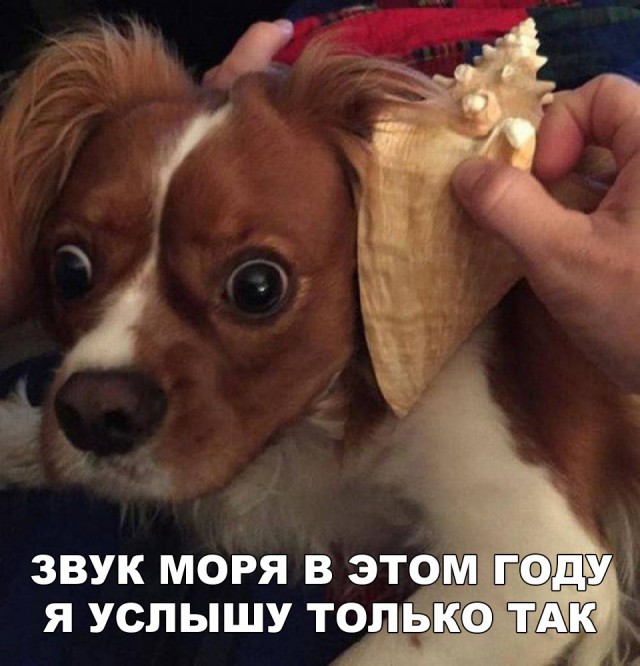 Нестандартный юмор