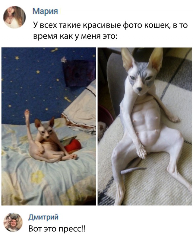 Нестандартный юмор