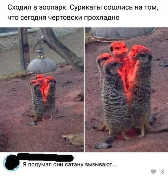 Прикалюхи