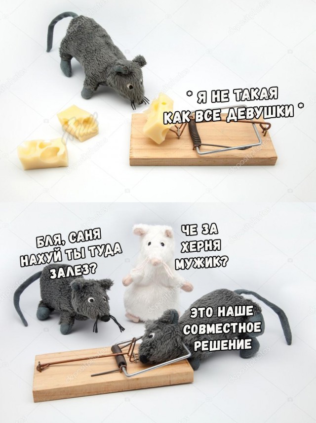 Как я вижу женатых друзей