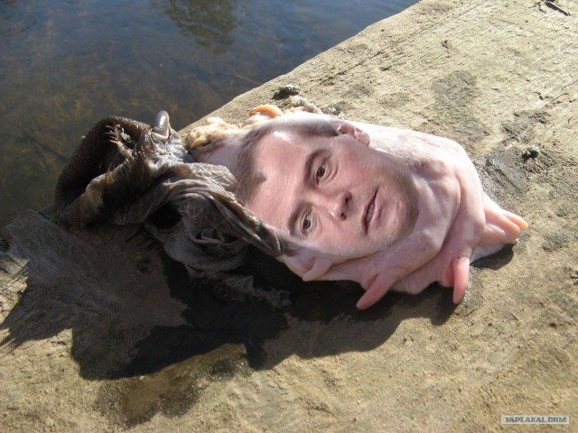 Неведомая хня