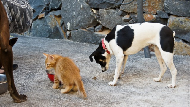 Один мой день. Самый первый!