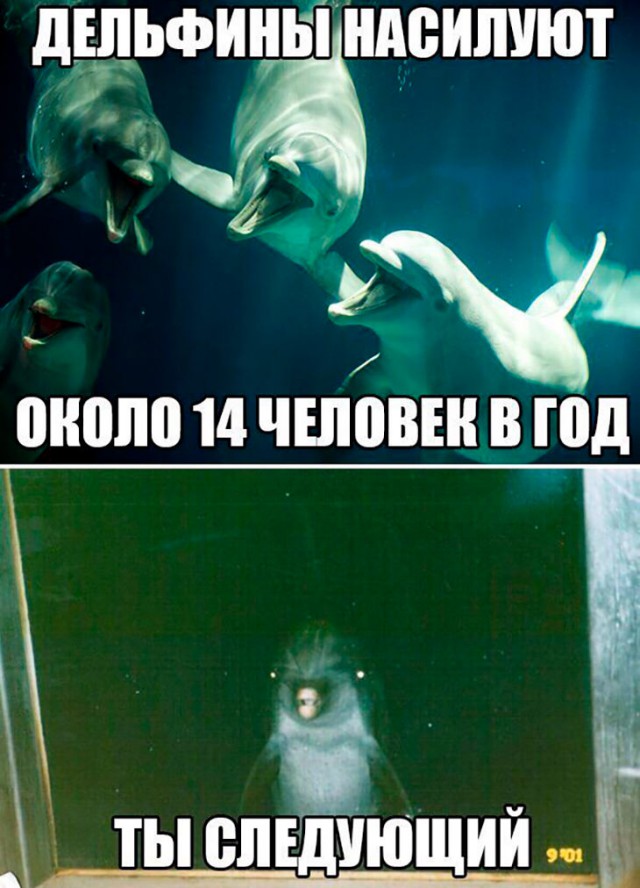 Немного картинок для настроения