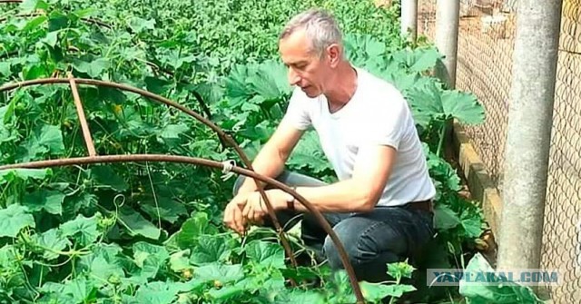 «Вас словно облили кислотой и бьют током!». Истории людей, которых ужалило самое жгучее растение в мире