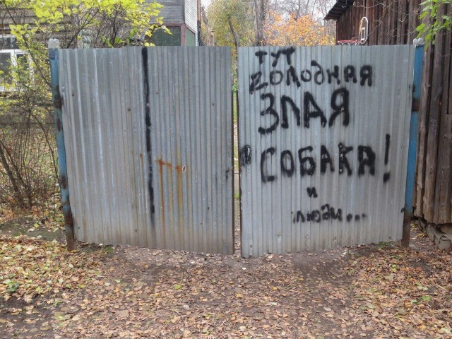 Чуток картинок 29.11.19