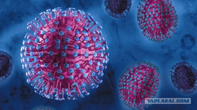 Новый китайский коронавирус создали в 2015 году