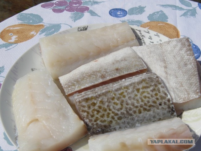 Треска с попугаями