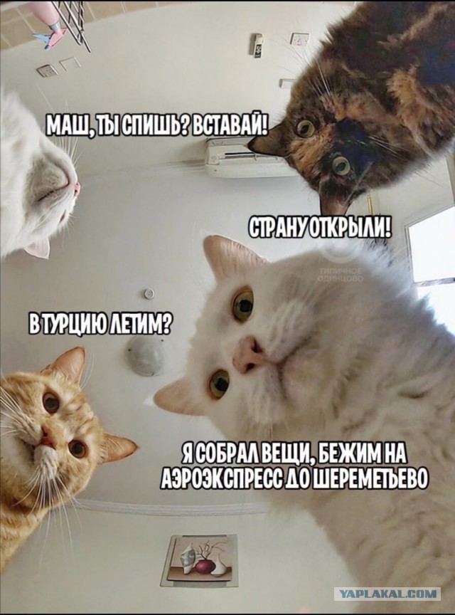 Пандемия. Коронавирус. Россия и мир. Последняя информация. Часть 17