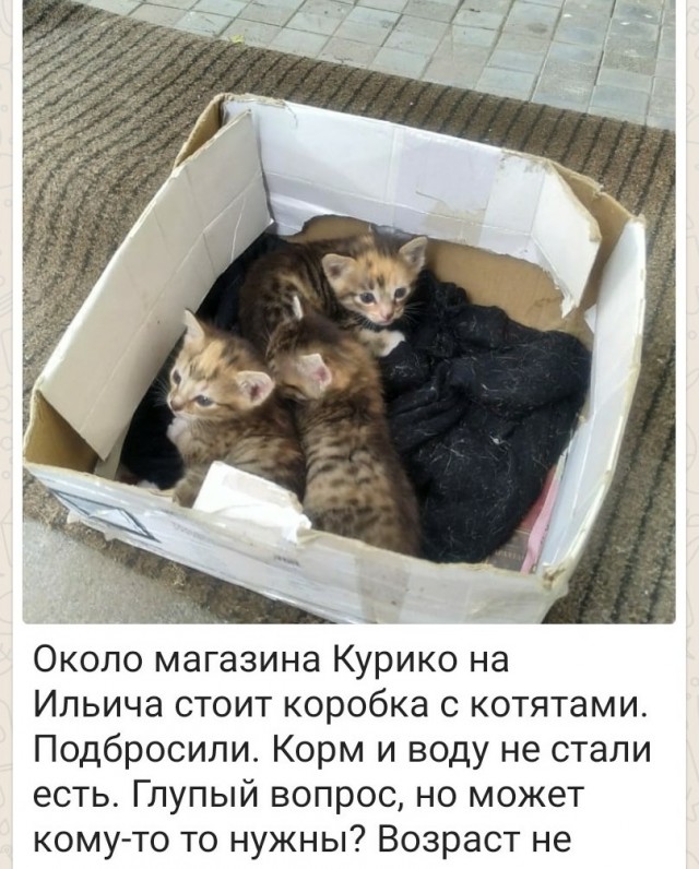 Женщины против ДНК-теста на отцовство